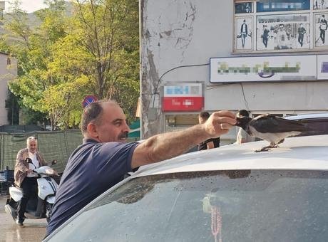 Bitlis’te gülümseten dostluk! Hasta halde bulduğu karga, 40 yıllık kasabın dükkanını mesken tuttu