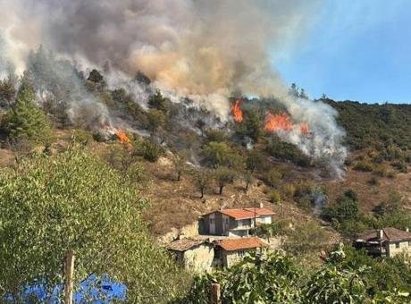 Bursa’da orman yangını! Alevler evlerin yakınına ulaştı