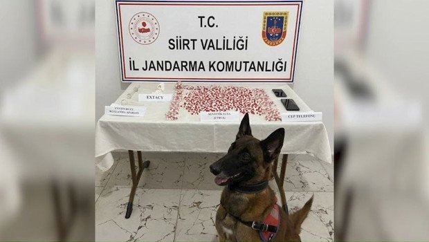 Siirt’te 2 bin 650 uyuşturucu hap ele geçirildi