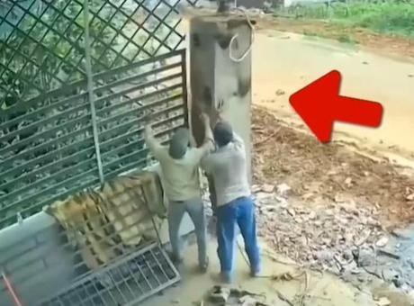 İkisi de ne yapacağını bilemedi… Beton kolondan kaçarken altında kaldı! Feci ölüm kamerada