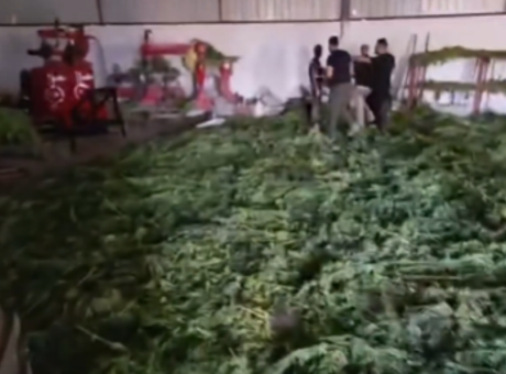 Diyarbakır’da uyuşturucu operasyonu! 2 ton 200 kilo esrar ele geçirildi