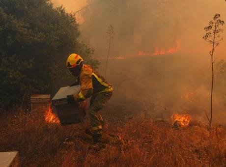 El Niño, kayıtlara geçen en güçlü seviyesine ulaştı!