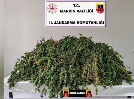 Mardin Kızıltepe’de uyuşturucu operasyonu: Tam 43 kilo ele geçirildi
