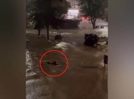 Sarıyer’de korkunç anlar! Göle dönen caddede akıntıya kapılmamak için böyle yüzdü: O anlar kamerada