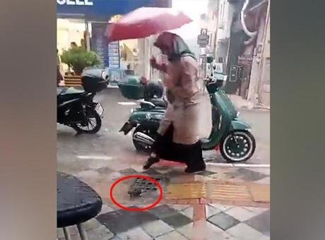 Canlı yayın yaparken gözlerine inanamadı! Mazgaldan çıkan görenleri korkuttu