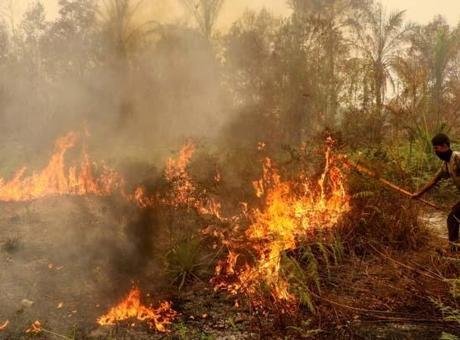 Son dakika… Endonezya’da korkutan orman yangınları: Son yılların en şiddetlisi