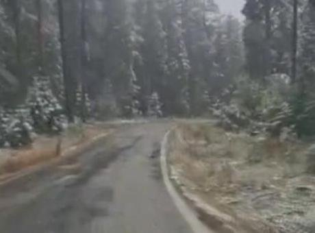 Kastamonu’nun yüksek kesimlerine kar yağdı: Fındıklı Yaylası beyaza büründü!
