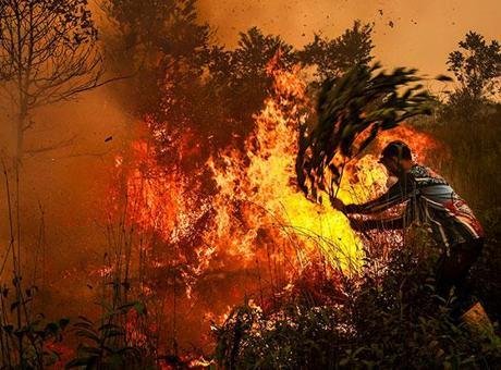 Binlerce kişide solunum enfeksiyonuna yol açmıştı: Endonezya yangınlarında soruşturma kararı