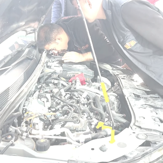 Motor kısmına saklanan kediye oksijen gazlı müdahale
