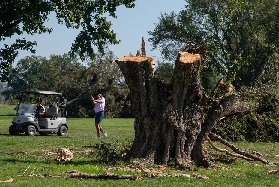 Trump yönetiminin golf sahasında yaptığı ağaç kesimine yargı freni