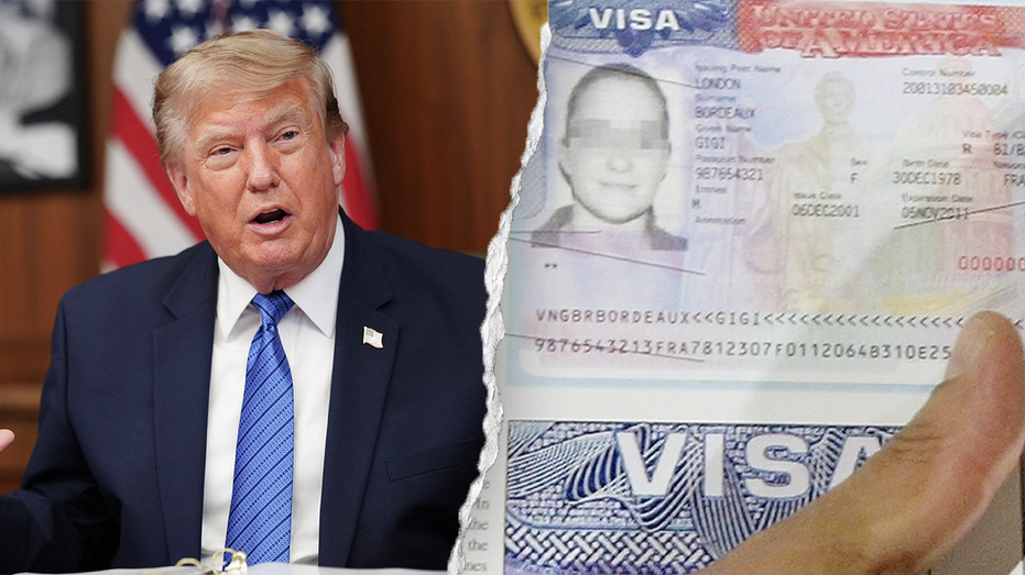 DHS suspends visa-free travel program for Chinese nationals amid birth tourism, security concerns