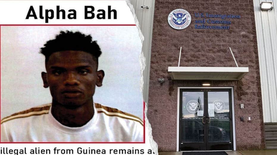 EXCLUSIVE: ICE captures illegal alien at center of NYC manhunt after sanctuary city release