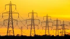 Wales plans to ban steel pylons as government launches consultation