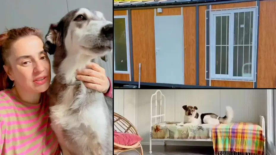 Ceylan Ertem’den köpeklerine özel ev. Tüm ayrıntılarla kendisi ilgilendi