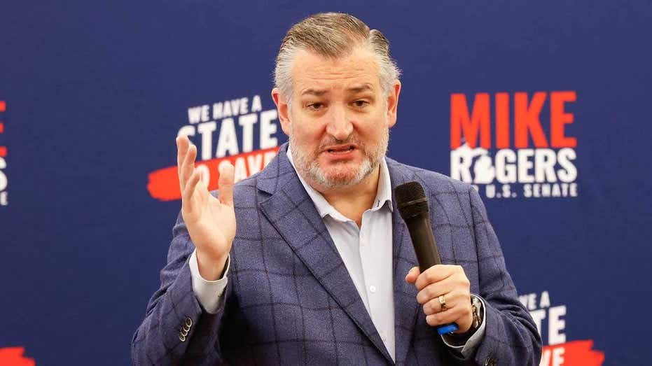 Cruz says there’s ‘real risk that Americans will die’ if El-Sayed gains access to US intelligence