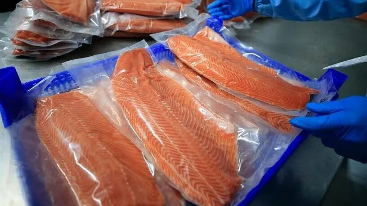 37 ülkeye sattık, en çok Ruslar aldı: 9 ayda 431 milyon dolar getirdi