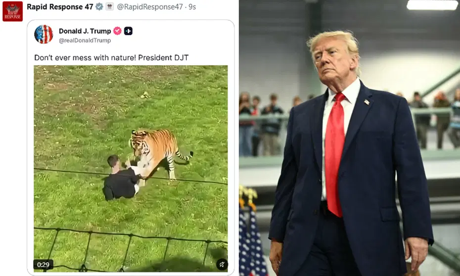 Kaplanın ziyaretçiyi öldürdüğü videoyu paylaşan Trump’a tepki yağdı