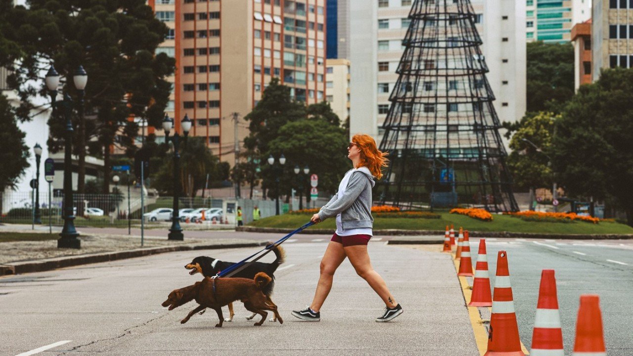 Köpek sahibi olmanın vergi faturası: Bazı ırklarda tutar katlanıyor
