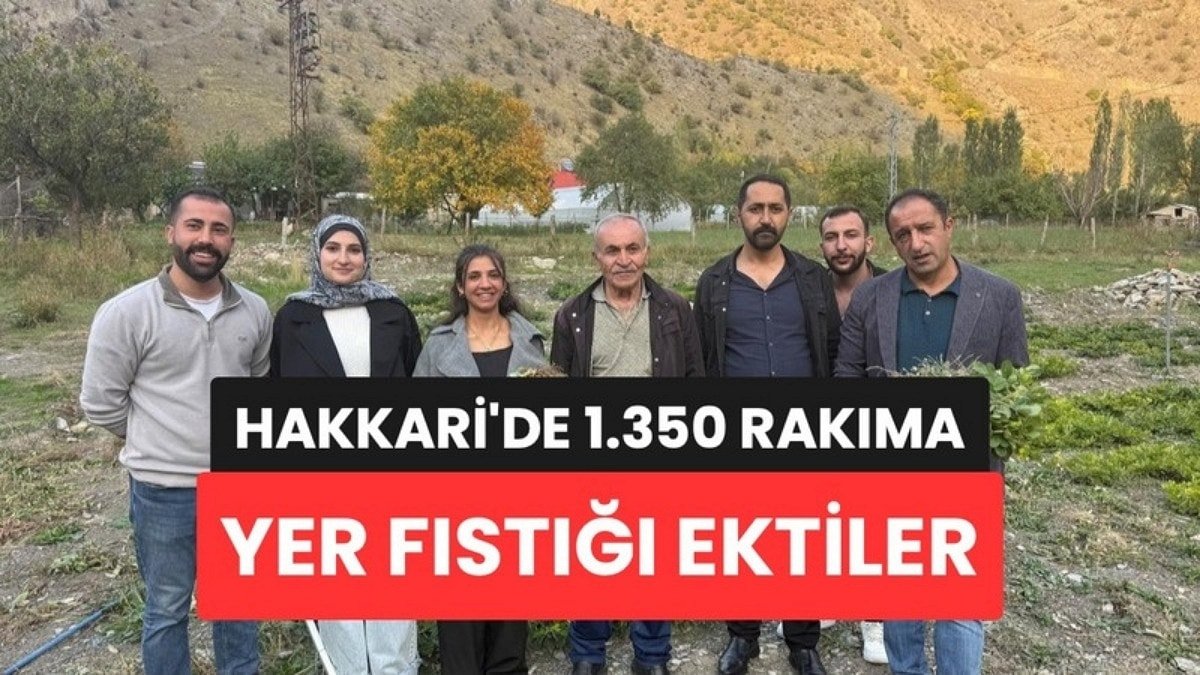 Hakkari'de Bir İlk: Bin 350 Rakıma Elleriyle Yer Fıstığı Ektiler