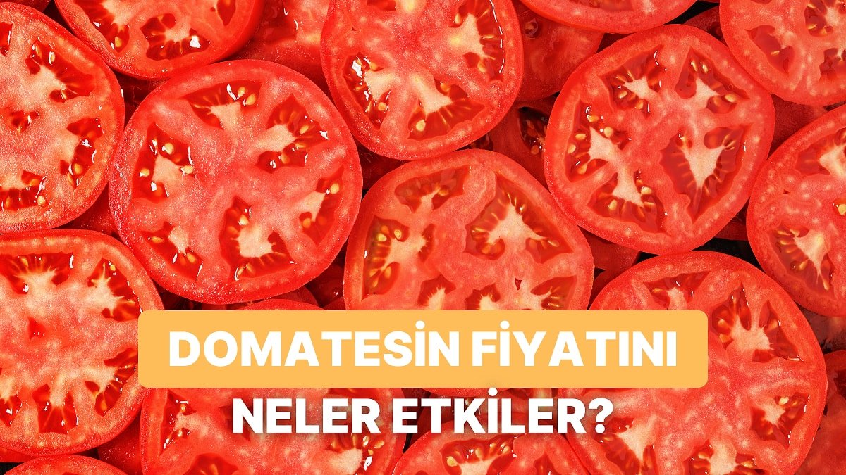 Bir Kilo Domatesin Fiyatını Tarladan Markete Kadar Değiştiren 10 Etken