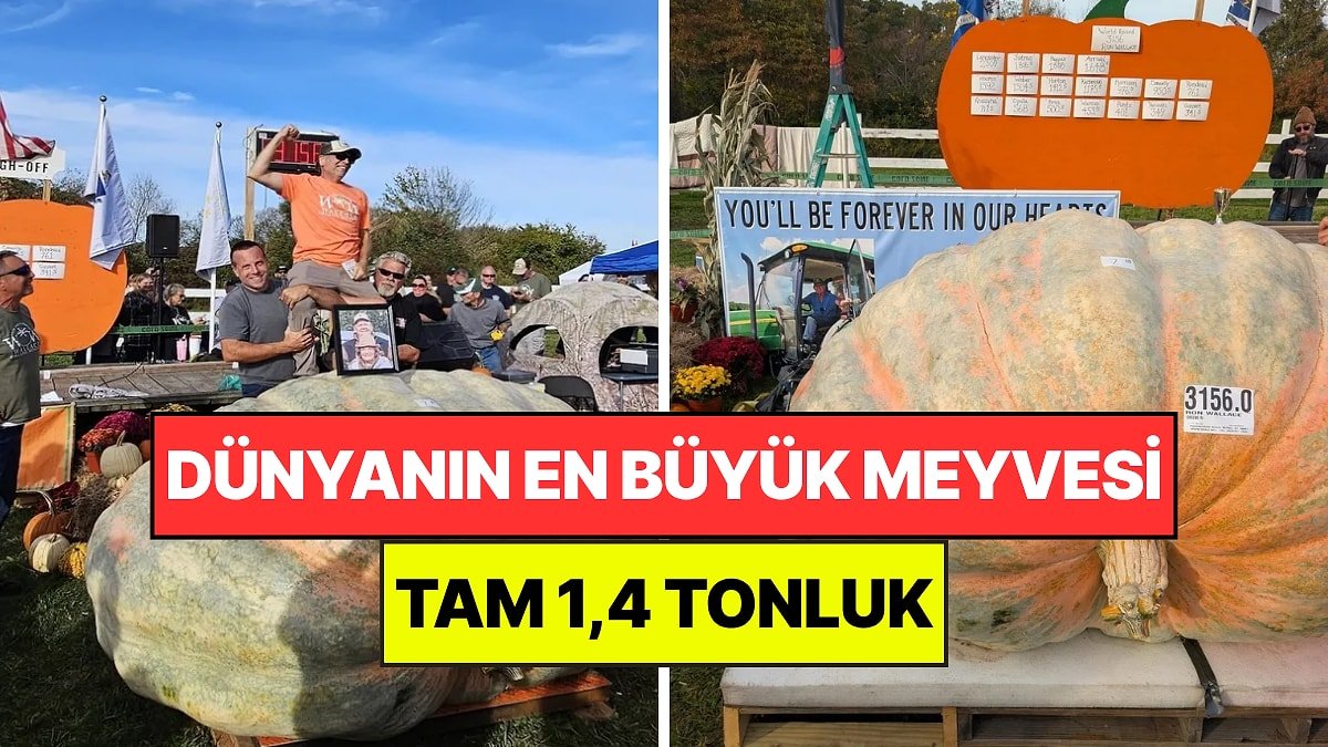Küçücük Tohumdan 1,4 Tonluk Bal Kabağı Çıktı: Dünyanın En Büyük Meyvesi Oldu