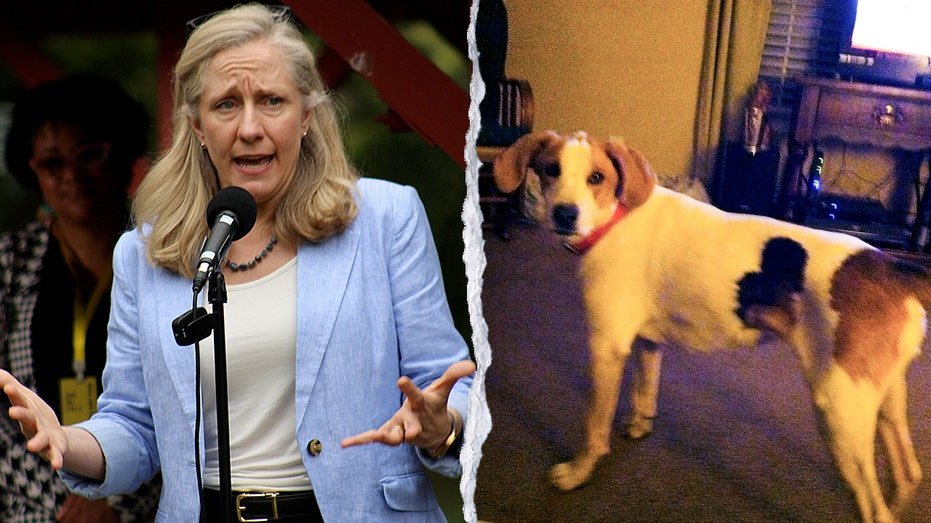 ‘Biscuit’ the dog is latest dead felon to get their voting rights back from Spanberger, confused owner says