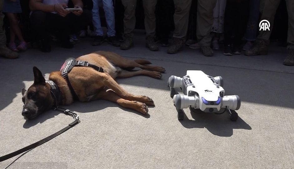 TEKNOFEST’te adeta görsel şölen! Canlı dedektör köpek ile robot köpek aynı sahnede