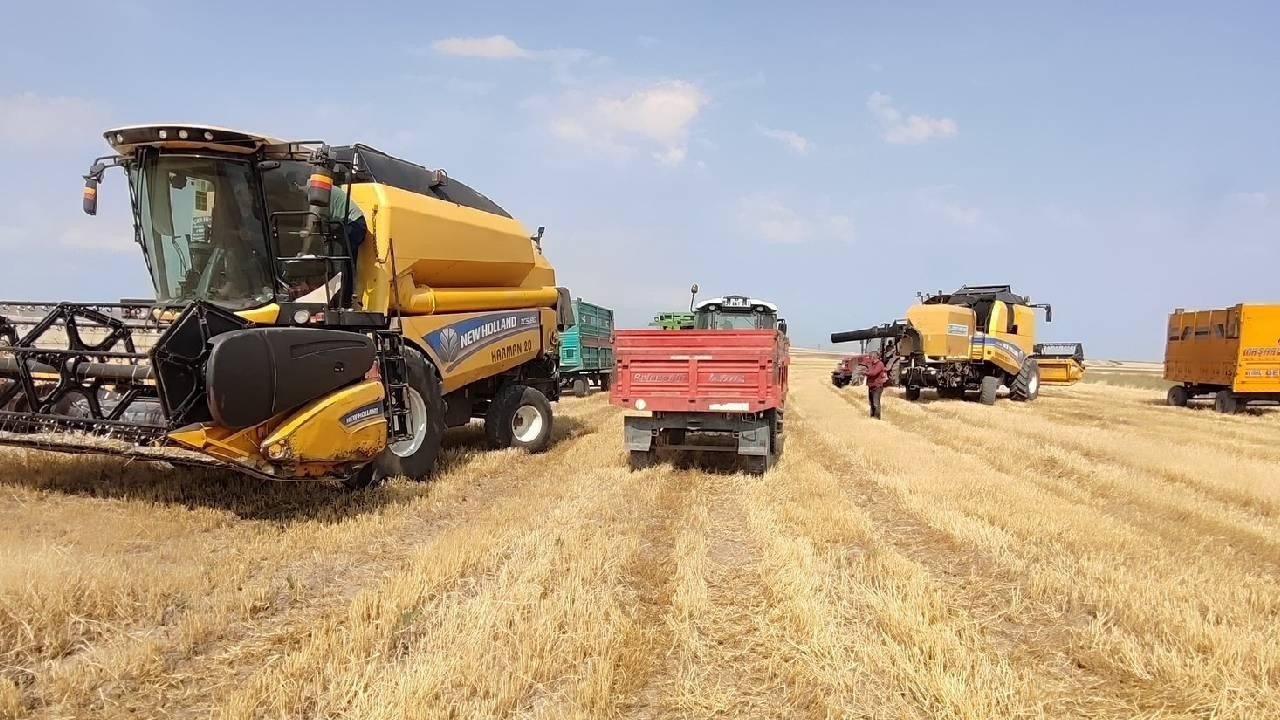 Türkiye’nin tarım ihracatında tarihi rekor: 3 sektör zirveyi gördü